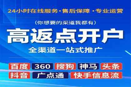 案例研究：竞价广告助力电商行业增长